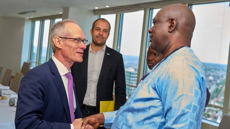 FG unlocking inactive energy assets to boost production, Lokpobiri hints