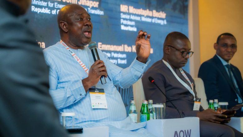 Africa to halt $120b annual hydrocarbon imports ….Lokpobiri